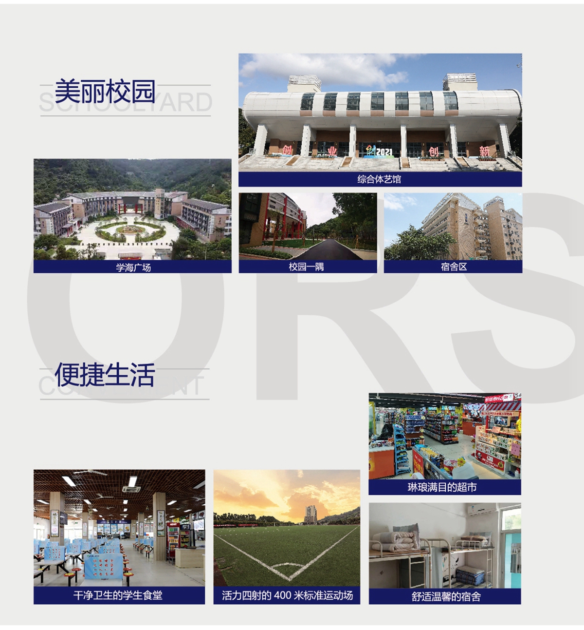 2022年招生手册(图5)